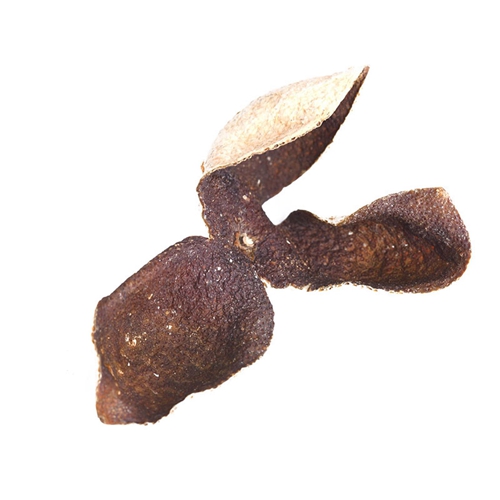 衢州特级大红柑普洱茶厂家